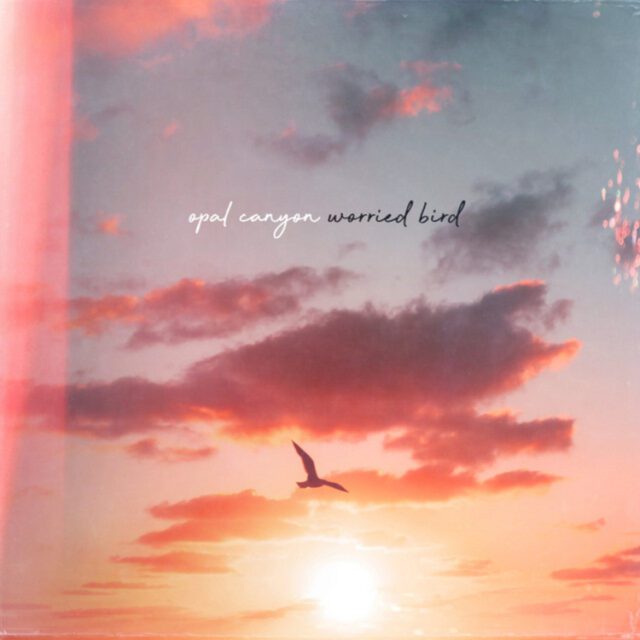 Art for Worried Bird, by Opal Canyon
